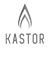 ������������ KASTOR ��� ������������� ���� � �������� ����